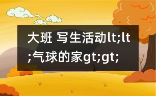 大班 寫生活動(dòng)lt;lt;氣球的家gt;gt;