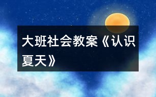 大班社會教案《認識夏天》