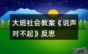 大班社會(huì)教案《說聲“對(duì)不起”》反思