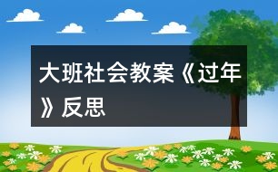 大班社會(huì)教案《過(guò)年》反思