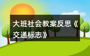 大班社會教案反思《交通標志》