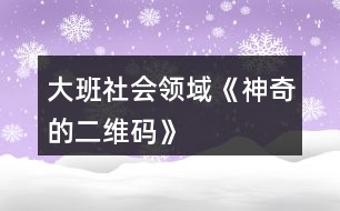 大班社會領(lǐng)域《神奇的二維碼》