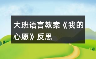 大班語(yǔ)言教案《我的心愿》反思