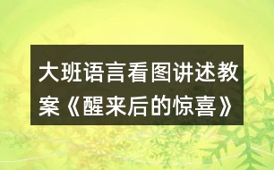 大班語言看圖講述教案《醒來后的驚喜》反思