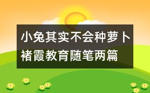 小兔其實(shí)不會(huì)種蘿卜（褚霞教育隨筆兩篇）