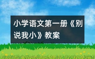 小學(xué)語文第一冊(cè)《別說我小》教案