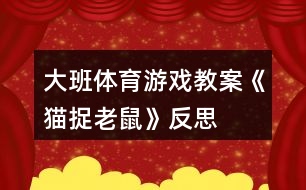 大班體育游戲教案《貓捉老鼠》反思