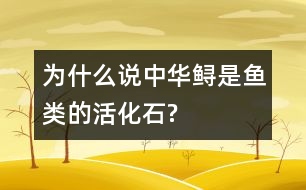 為什么說(shuō)中華鱘是魚(yú)類(lèi)的活化石?