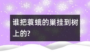 誰把蓑蛾的巢掛到樹上的?