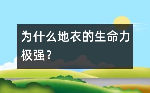 為什么地衣的生命力極強(qiáng)？