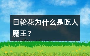 日輪花為什么是“吃人魔王”？