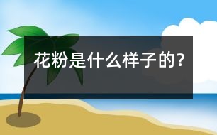 花粉是什么樣子的？