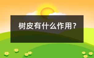 樹皮有什么作用？