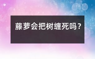 藤蘿會把樹纏死嗎？