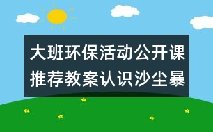 大班環(huán)?；顒?dòng)公開(kāi)課推薦教案：認(rèn)識(shí)沙塵暴