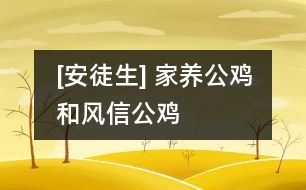 [安徒生] 家養(yǎng)公雞和風(fēng)信公雞