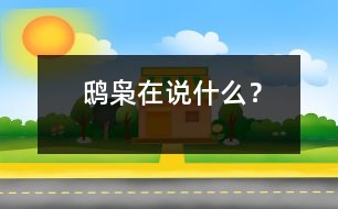 鴟梟在說(shuō)什么？